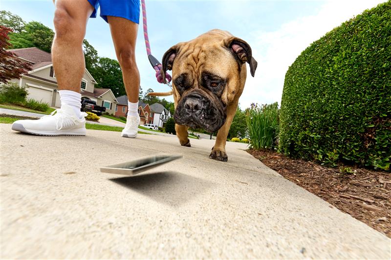 Verizon Mobile Protect